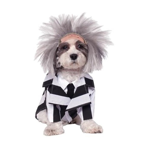 dog pet costumes