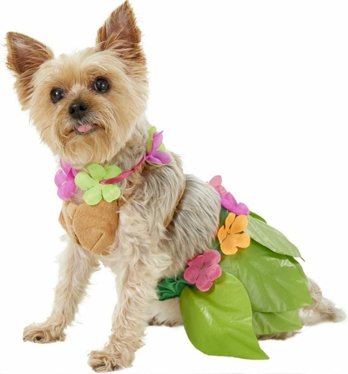 Hula Girl Pet Costume | Rubies costumes at PupRwear