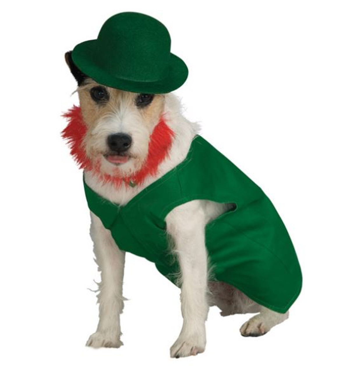 dog leprechaun outfit