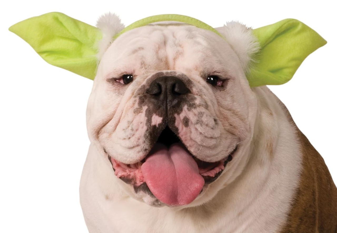 Star Wars Classic Yoda Dog Headpiece Medium/Large