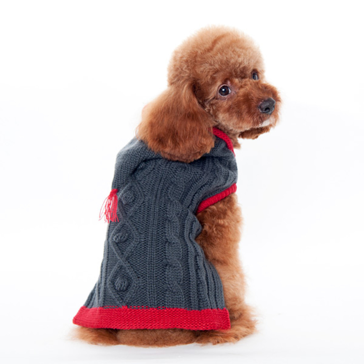 dog sweater with hood