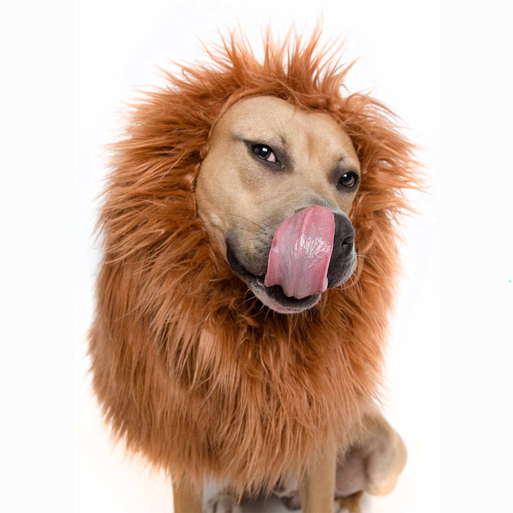 Lion Mane Costume for Medium and Big Dogs PupRwear