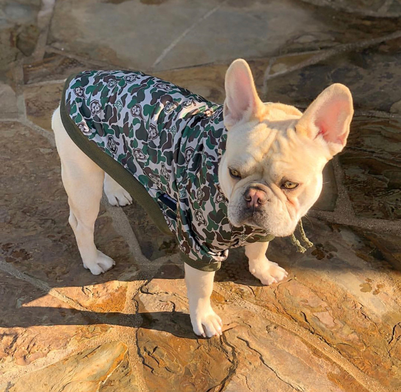 New York Mets Dog Jersey - Camo