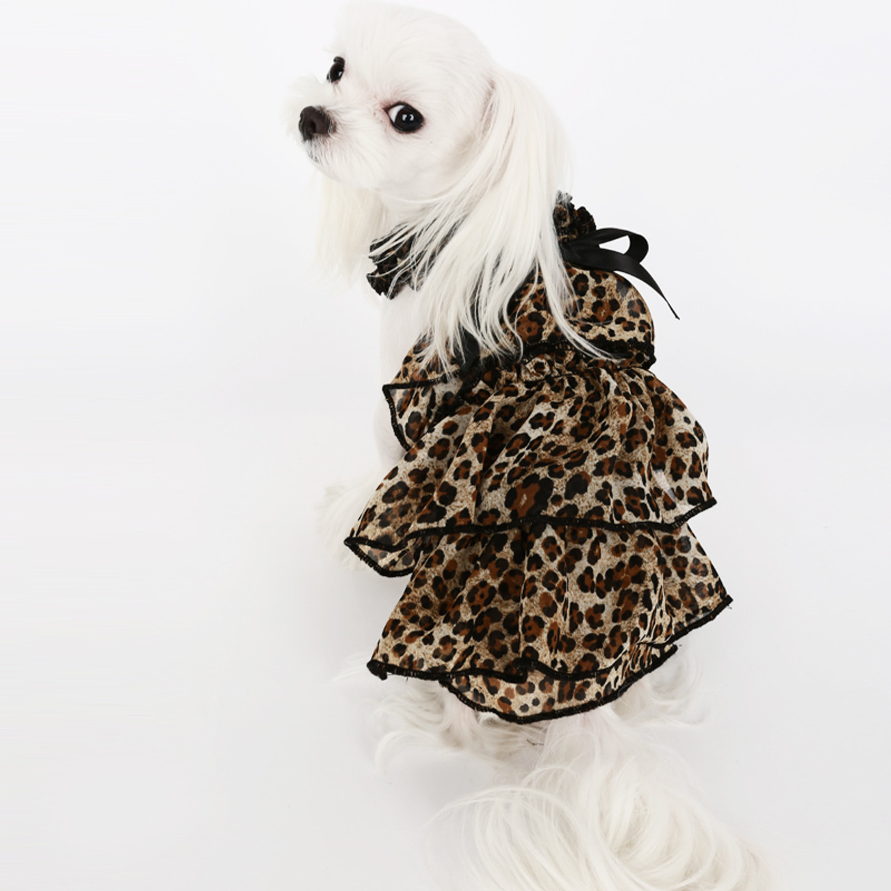 PupRwear Designer Dog Clothing, Doggie Couture