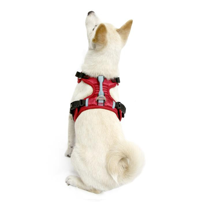 gooby freedom harness