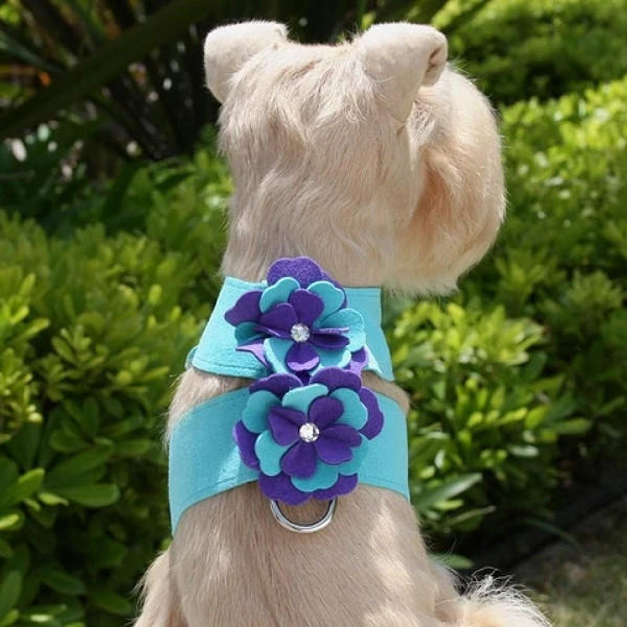 Susan Lanci Classic Ultrasuede Dog Harness  Designer Dog Harnesses at