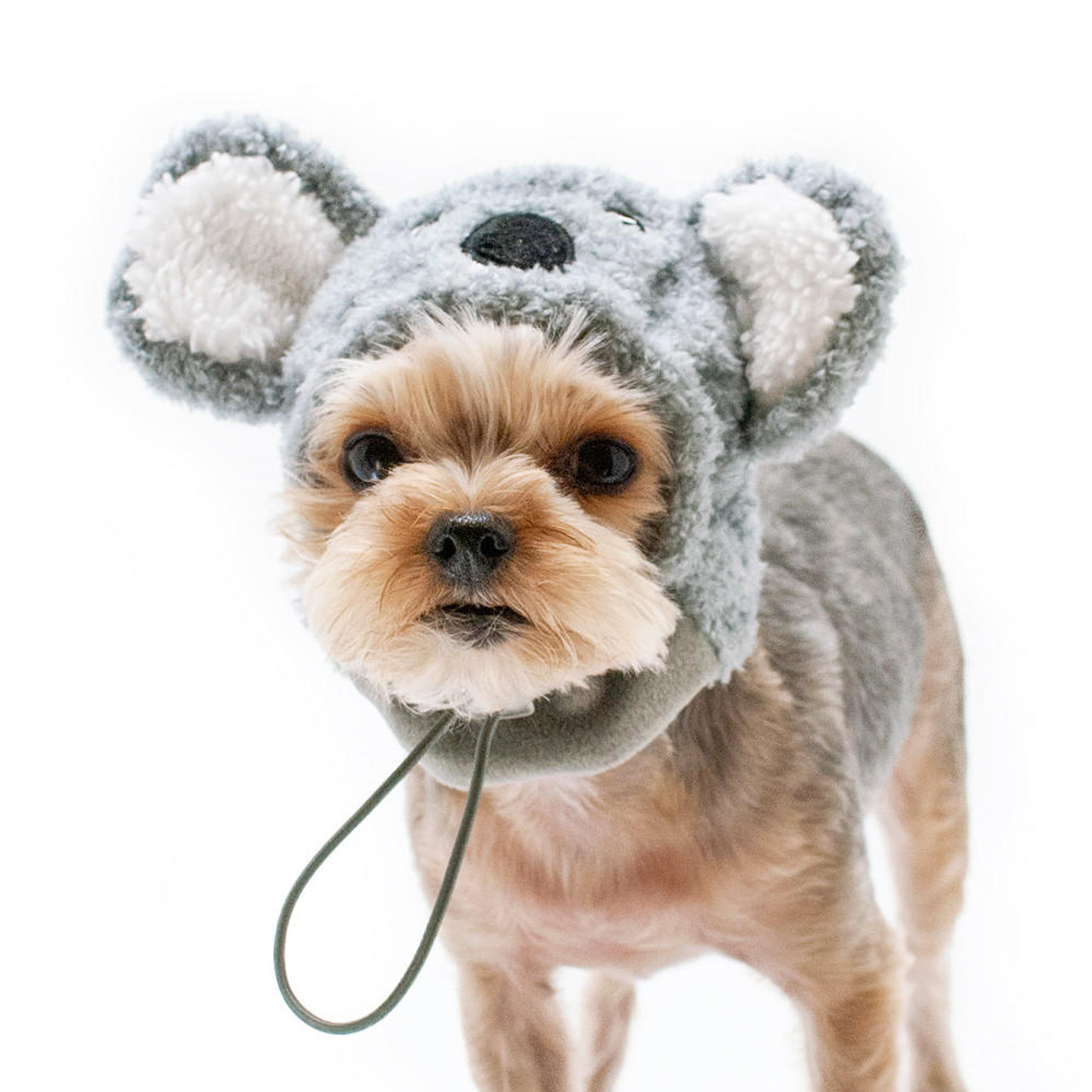 Mushroom Pet Dog Hat  Dogo Pet Fashions at PupRwear