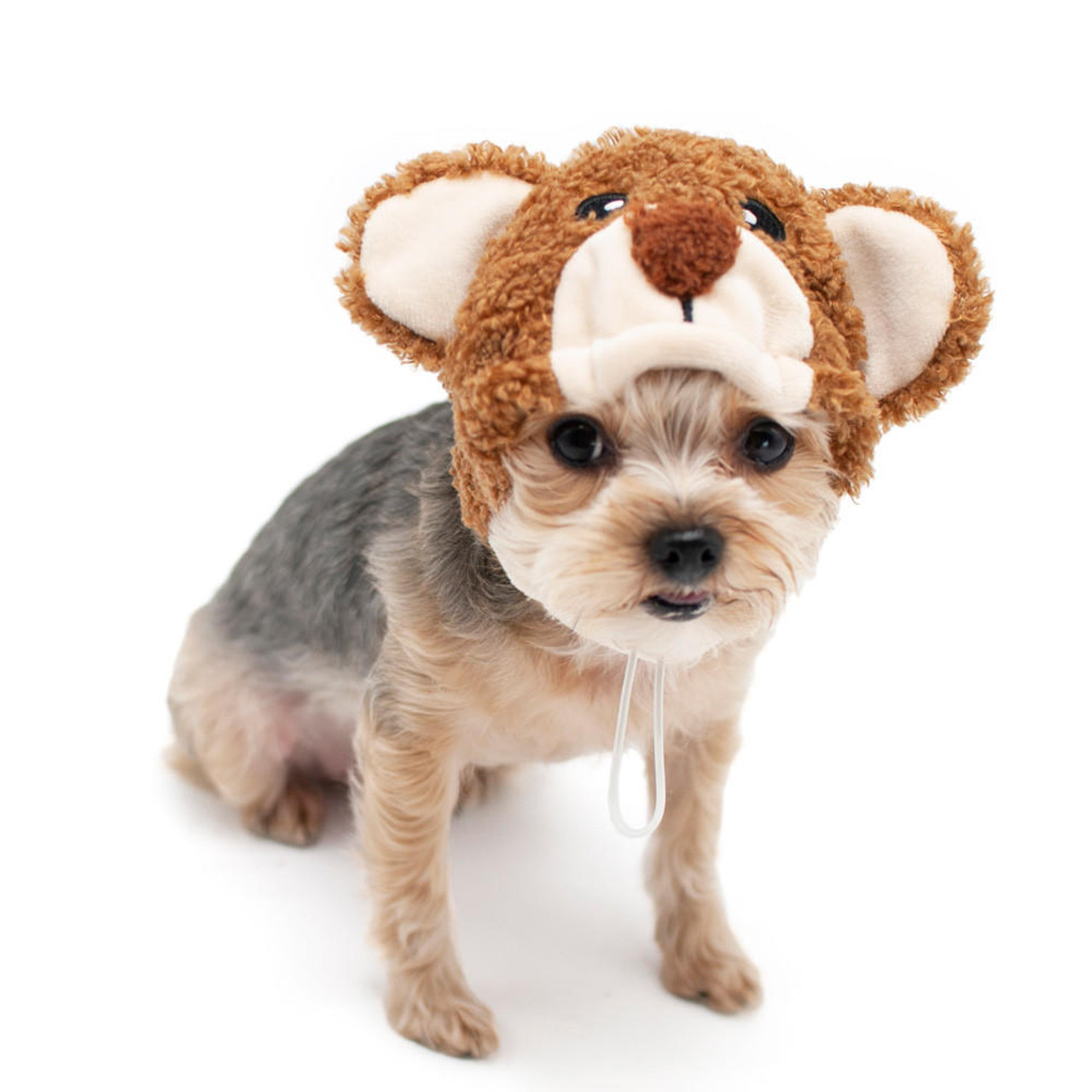 Mushroom Pet Dog Hat  Dogo Pet Fashions at PupRwear