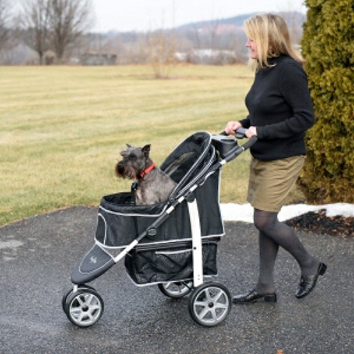 leopard print dog stroller