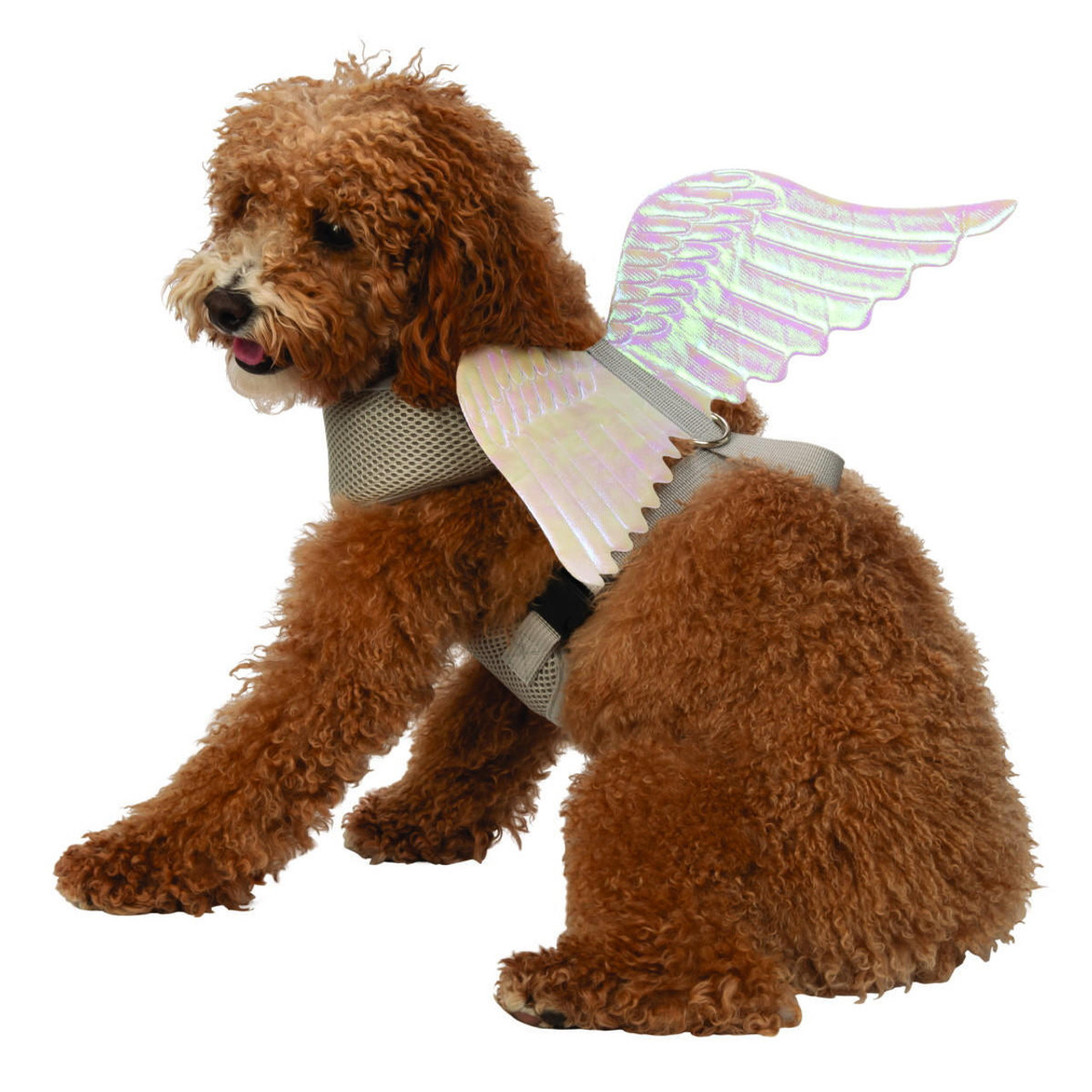 Angel sales dog harness