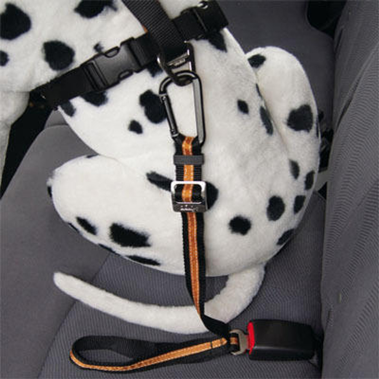 Dog Seatbelt  Kurgo Direct to Seat Belt Tether