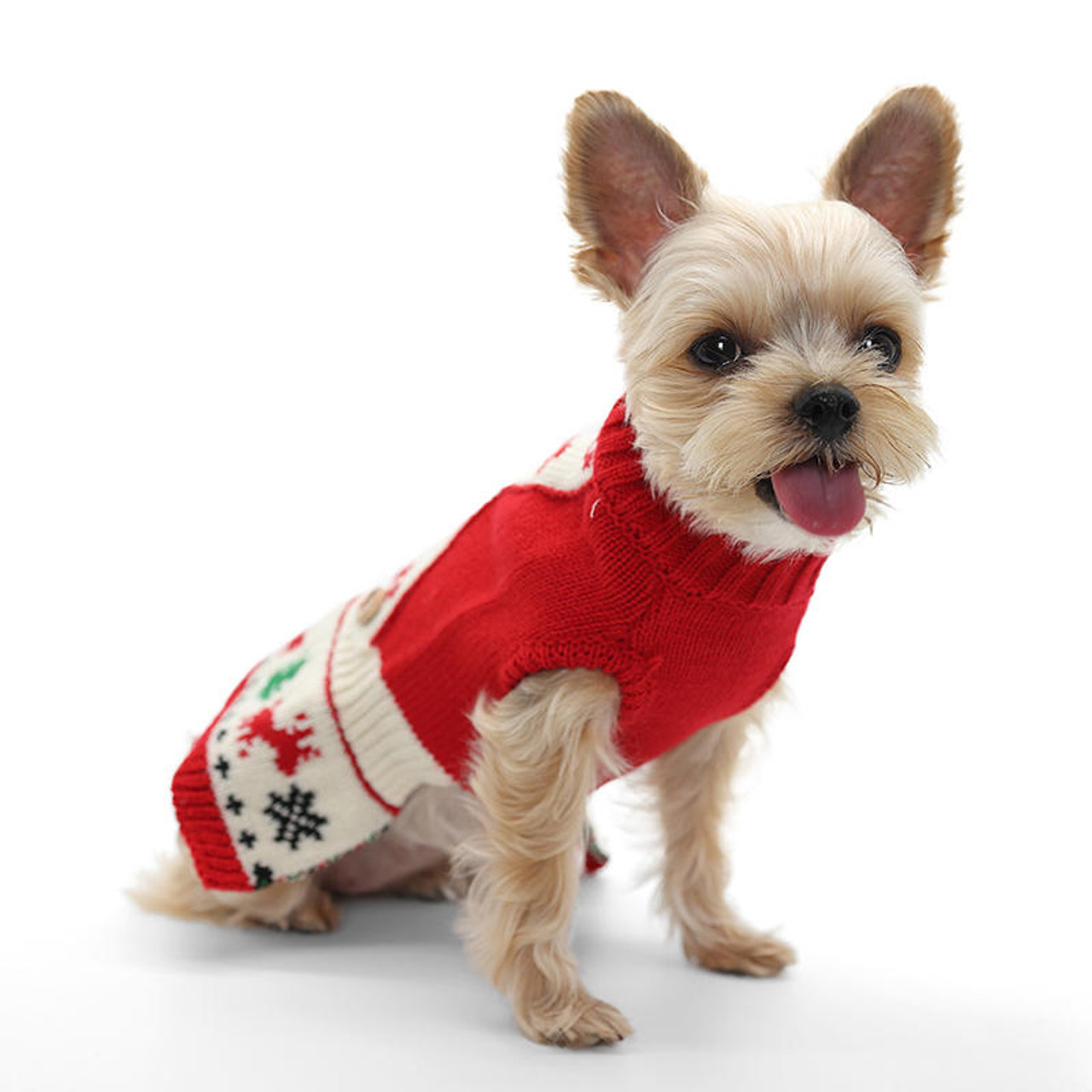 Christmas Jolly Dog Sweater Dress