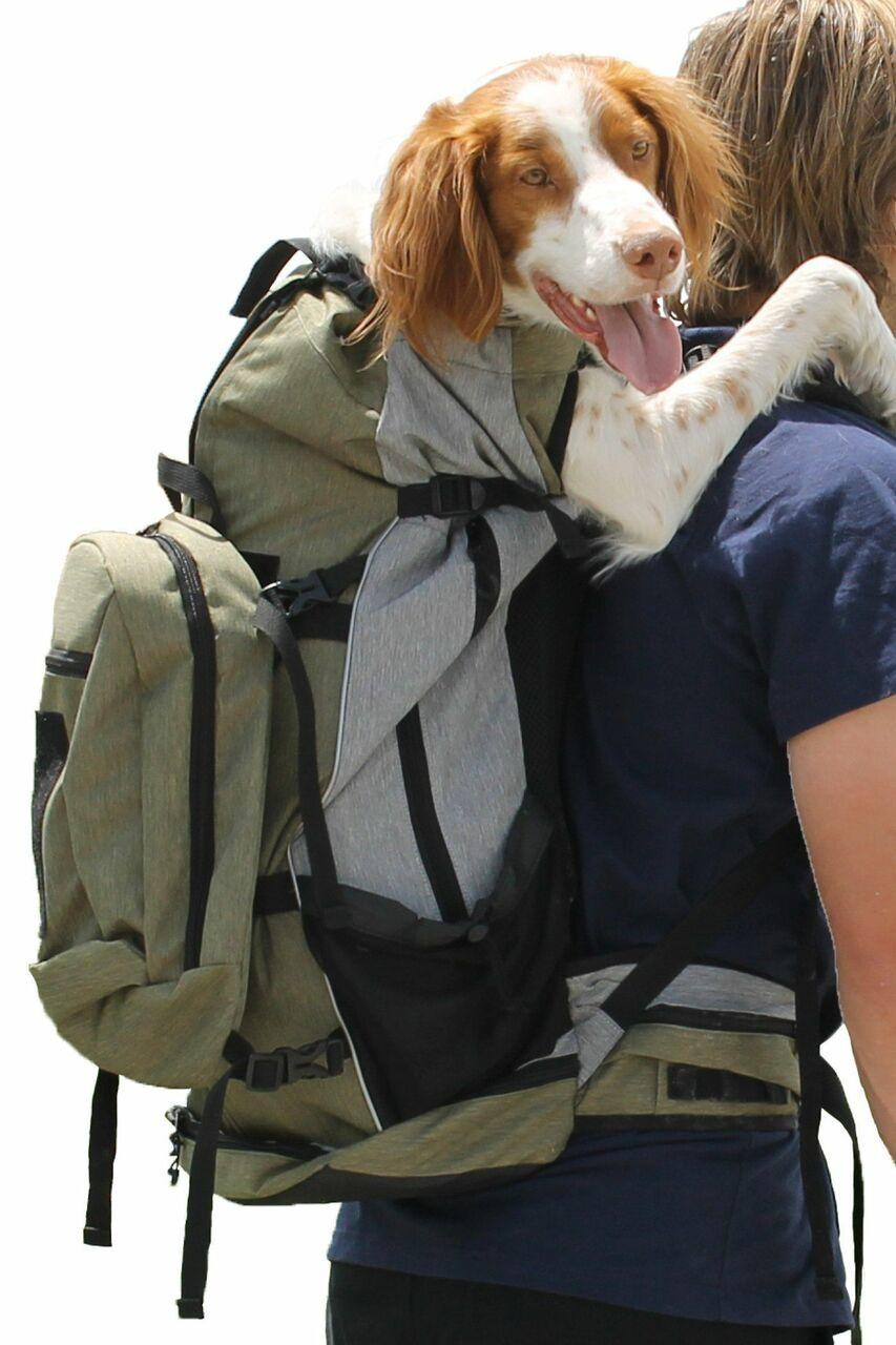 Grand Voyager Designer Dog Purse, Dog Carrier