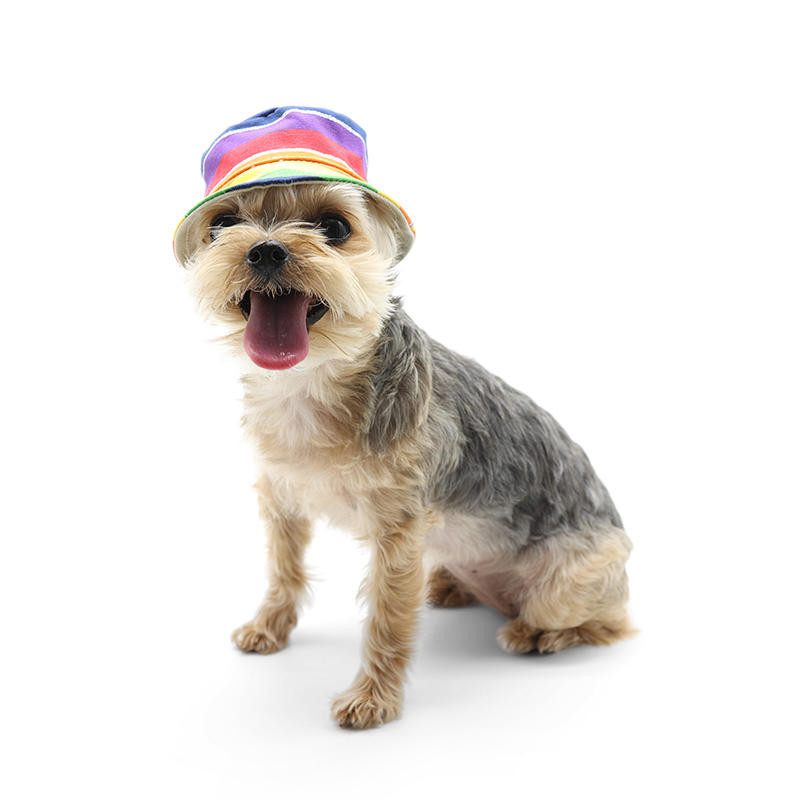 Rainbow Bucket Pet Dog Hat | Dogo Pet 