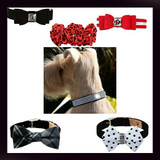 Susan Lanci Collars