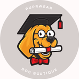 Graduation / School