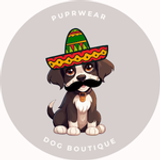 Cinco de Mayo Accessories
