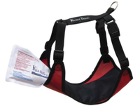 Cooling & Warming Dog Harness with Gel Pack