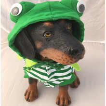 Costume - Frog