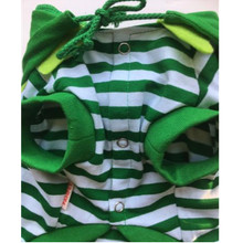 Frog Pet Dog Costume