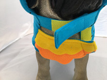 Owl Pet Dog Costume