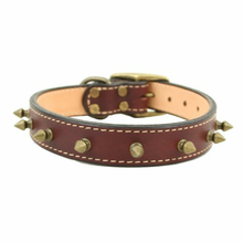 Heirloom Spiked Leather Dog Collar - 20" Burgundy