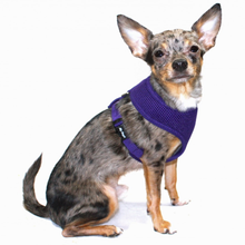 Mesh Dog Harness Vests - Purple Ultra Comfort