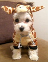 Dog Costume - Giraffe