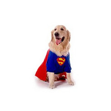 Costume - Super-Dog