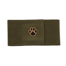 Susan Lanci - Paw Wizzer Bellybands - More Colors