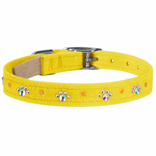 Crystal Paw Print Collars - Lots of Colors