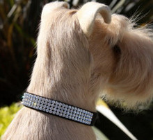 Giltmore Crystal 4-Row Collars