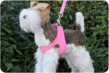 Perfect Pink Dog Harness by Susan Lanci Designs