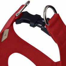 Red Dog Harness by Susan Lanci Designs