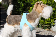 Tiffi Blue Dog Step In Harness by Susan Lanci Designs