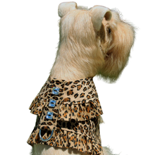Cheetah Pinafore Dog Harnesses by Susan Lanci