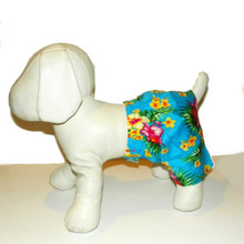 Hawaiian Board Dog Short on mannequin dog.