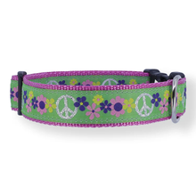Cat or Dog Collar - Groovy - 1/2, 3/4, 1 1/4