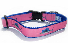 Dog Collar - Sailfish (Pink) - 3/4 & 1 1/4