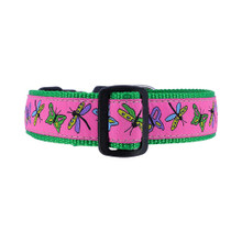 Dog Collar - Papillon on Kelly - 3/4 & 1 1/4