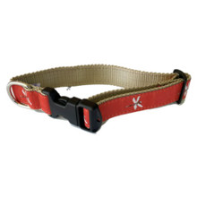 Dog Collar - Dragonfly - 1/2, 3/4, 1 1/4