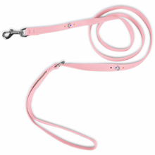 Crystal Paws Leash - Susan Lanci