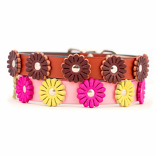 Flower Collection Dog Collars & Leashes