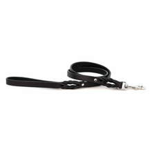 Braided Leather Dog Leash