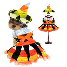 Candy Corn Witch Pet Dog Costume