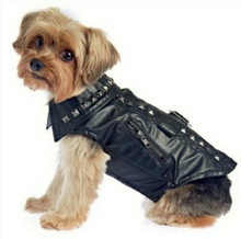 Studded Motorcycle Dog Jacket / Coat | PupRwear | GW Little