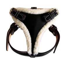 Black Patent Leather & Sherpa Dog Harness and Leash