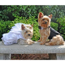 Dog Wedding Dress Set w/ Veil and Leash