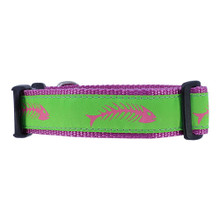 Dog Collar - Green & Pink Fishbones - 1/2, 3/4, 1 1/4