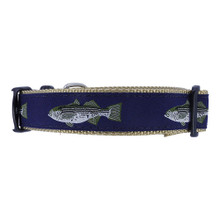 Dog Collar - Striped Bass - 1 1/4